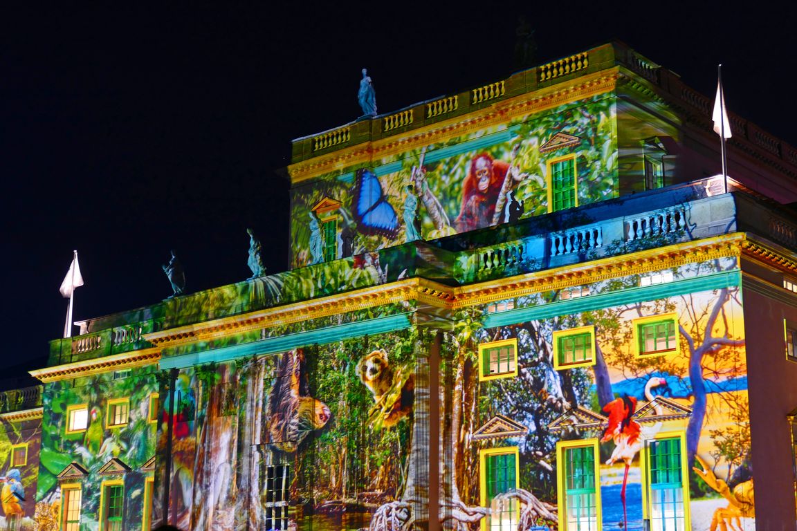 Festival_of_Lights_2019_10_12_204104_02.jpg