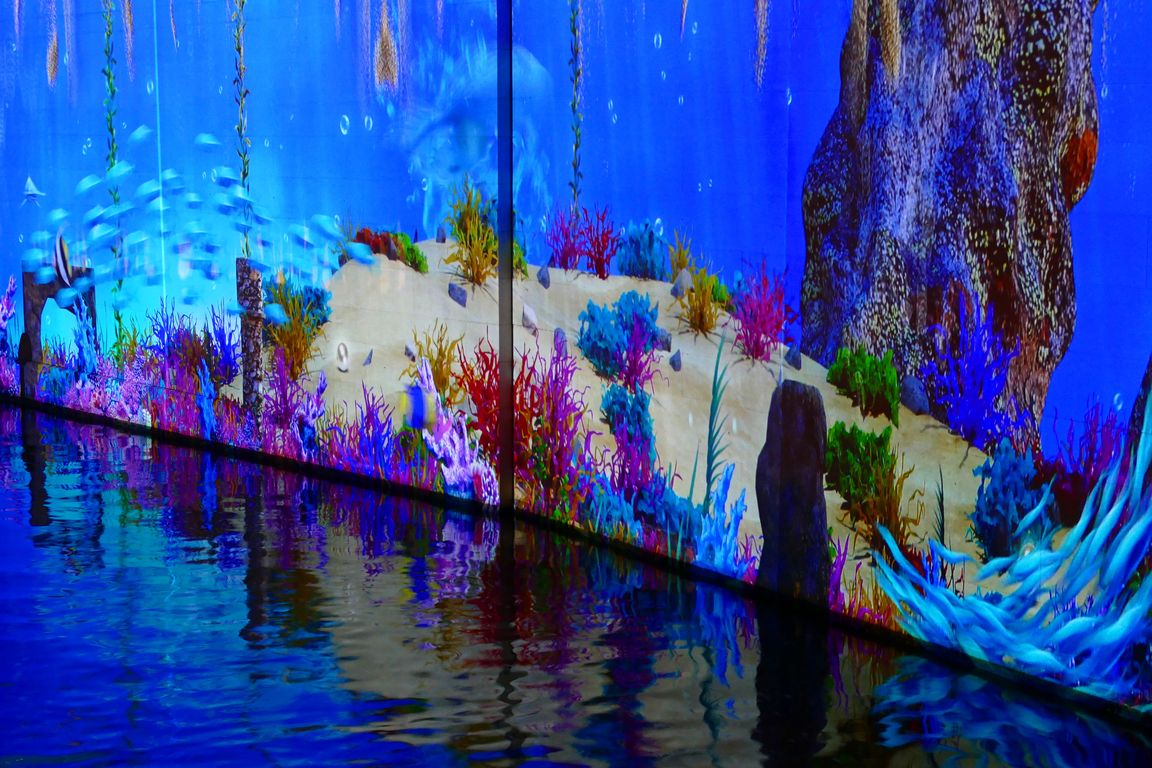 Festival_of_Lights_2019_10_12_221340_02.jpg