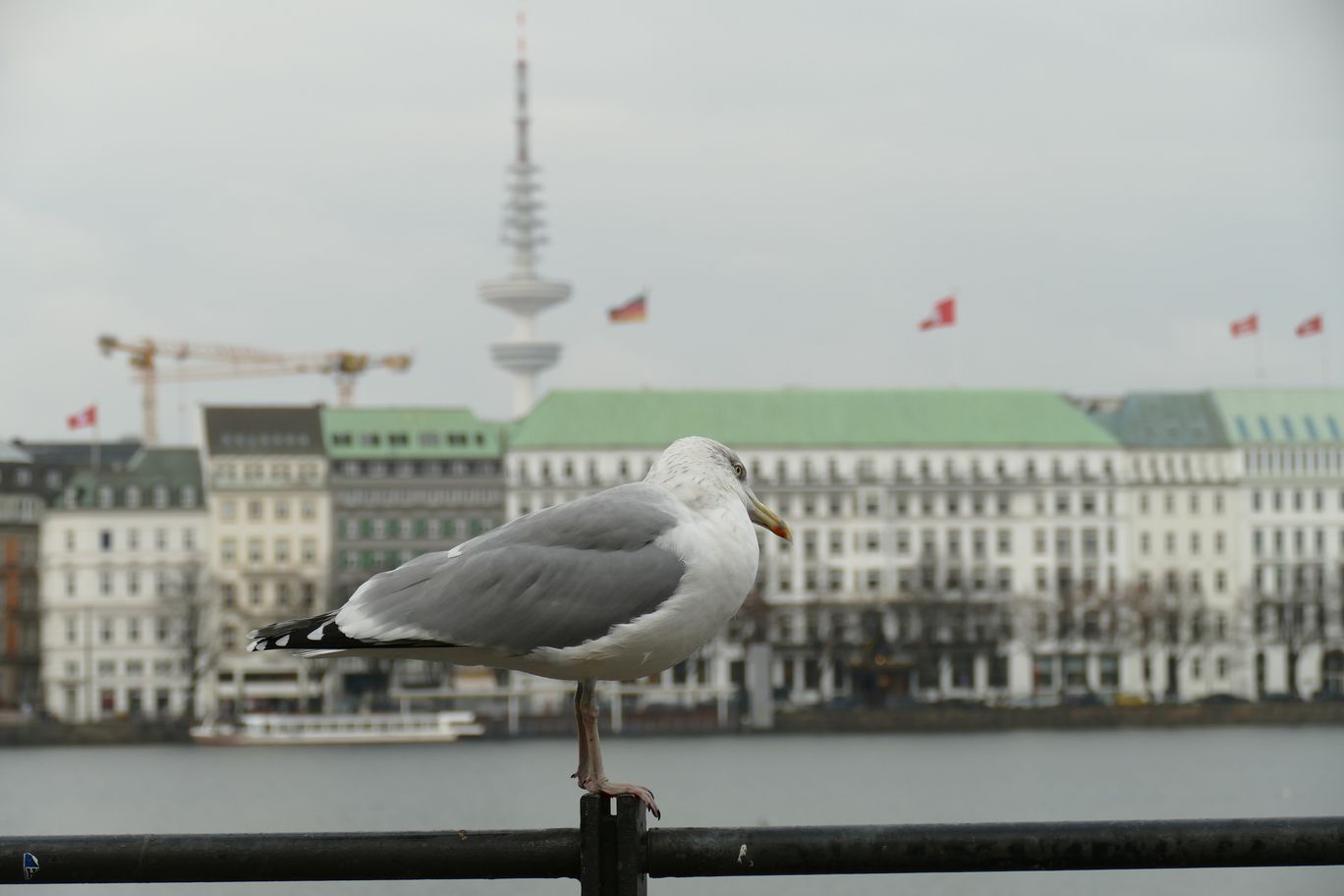 1012_Hamburg_2022_12_03_113902_P1110285.jpg
