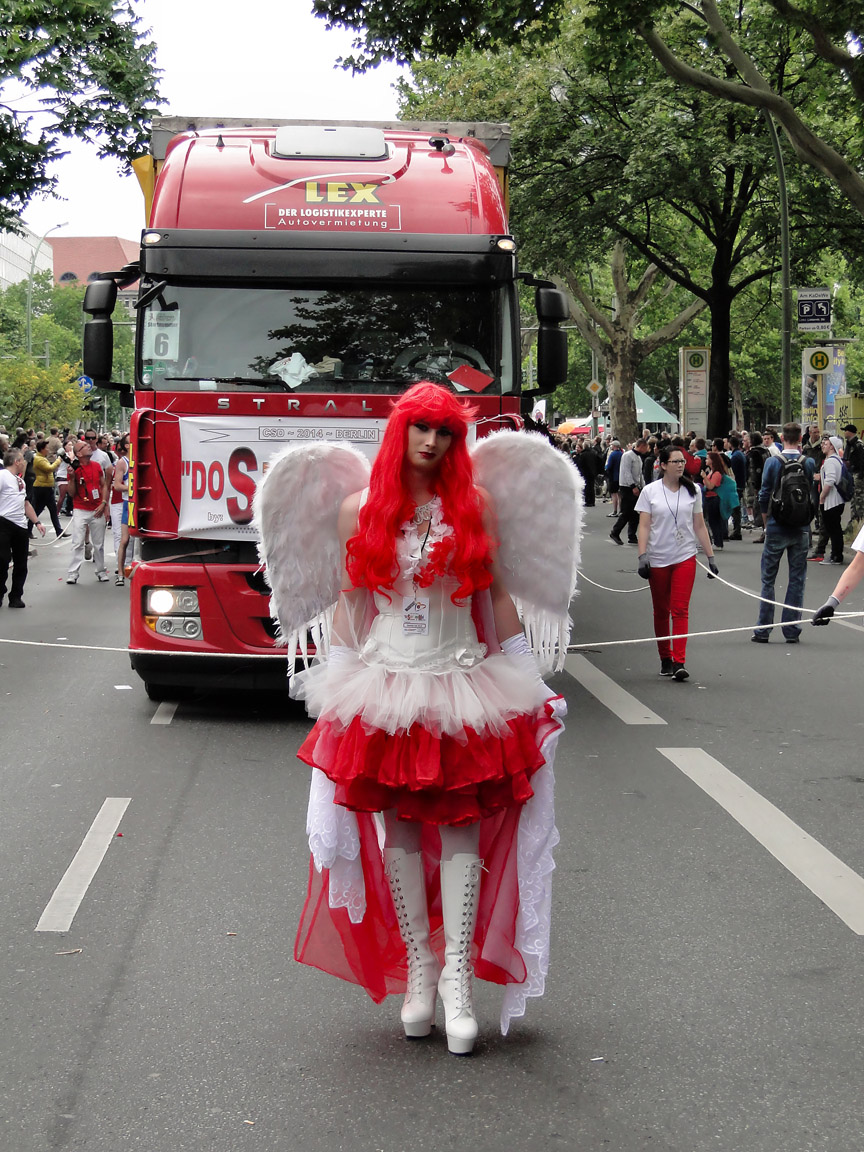 CSD_2014_06_21_143714_DSC01442.jpg