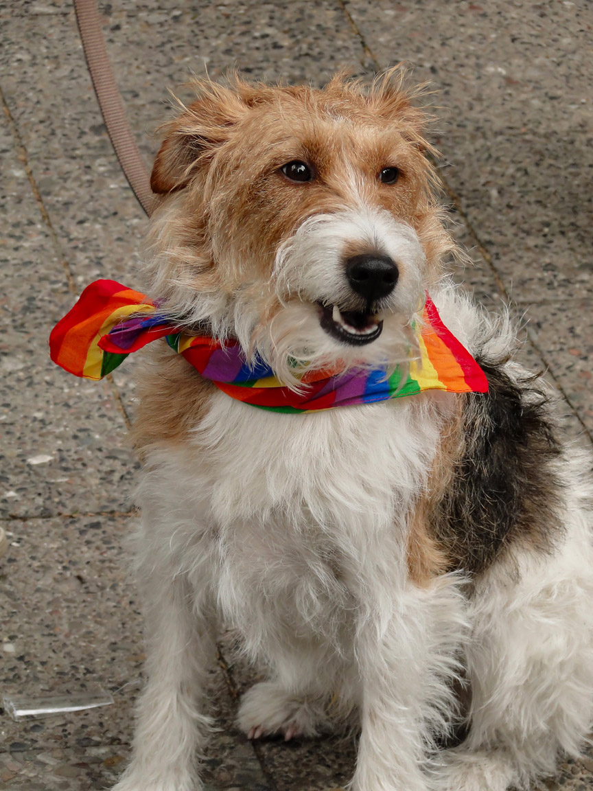 CSD_2014_06_21_150213_DSC01482.jpg