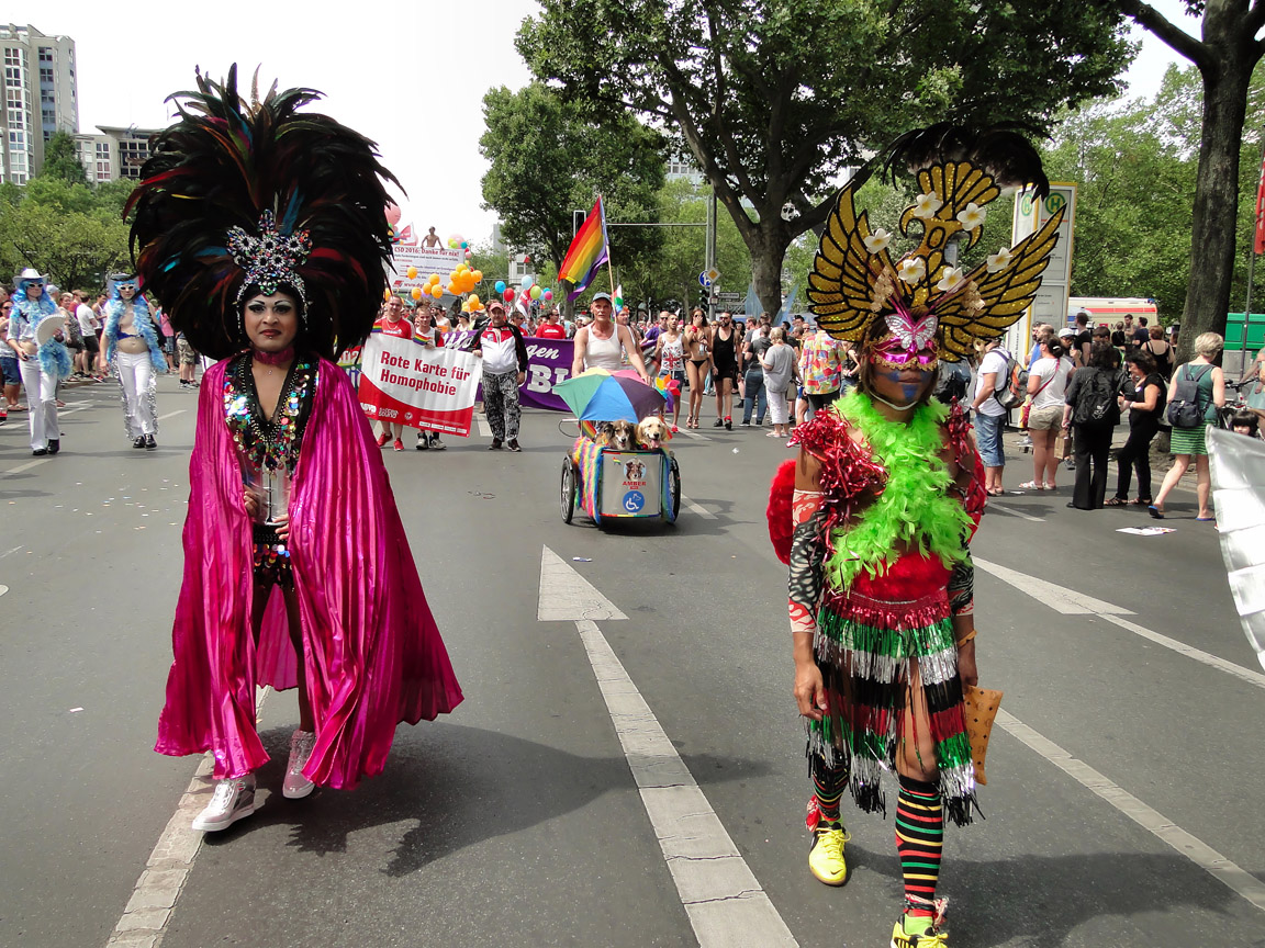 CSD_2016_07_23_135008.jpg