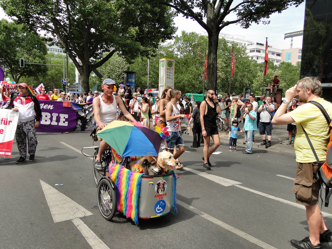 CSD_2016_07_23_135016.jpg