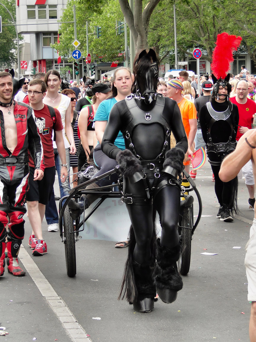 CSD_2016_07_23_144407.jpg