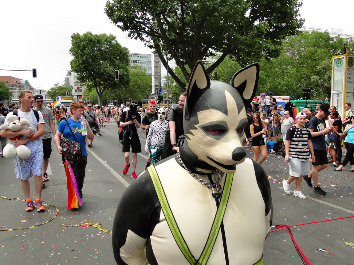 CSD_2016_07_23_144455.jpg