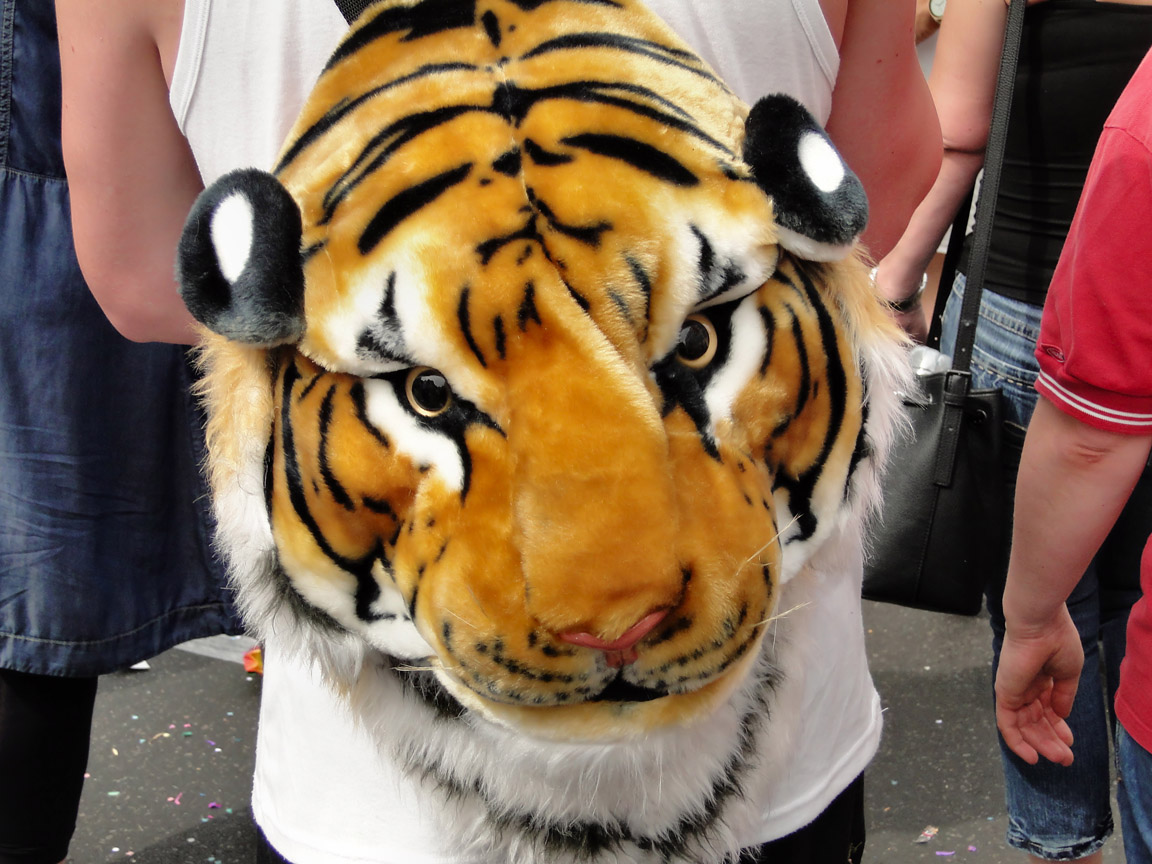 CSD_2016_07_23_153947.jpg