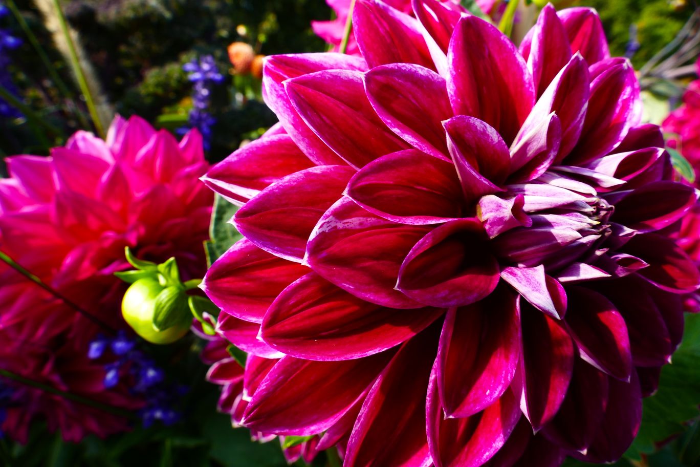 Berlin_Britzer_Garten_2021_09_26_133318_P1080865.JPG