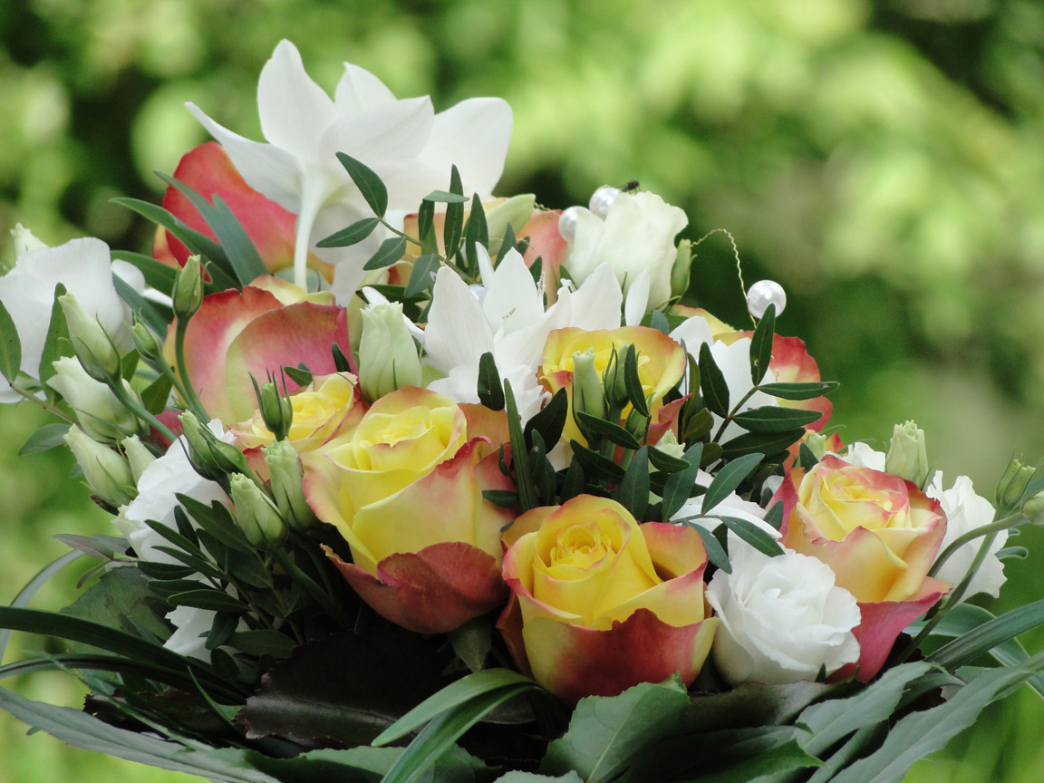 Hochzeit_Stefan_und_Konni_2016_05_20_153638_DSC05946.jpg
