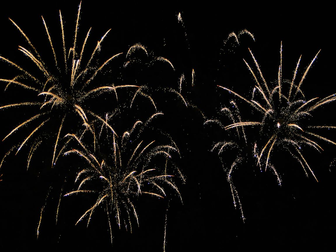 Pyromusikale_2009_07_11_225224_DSC00170.jpg
