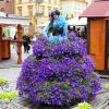 1152_Polen_Breslau_20260612_171152_P1057346.jpg