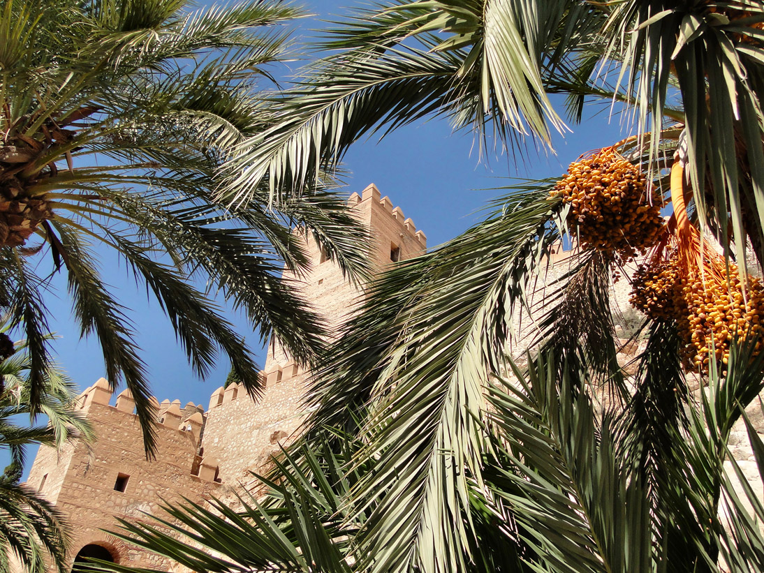 1137_Andalusien_2017_10_08_134521_DSC08230