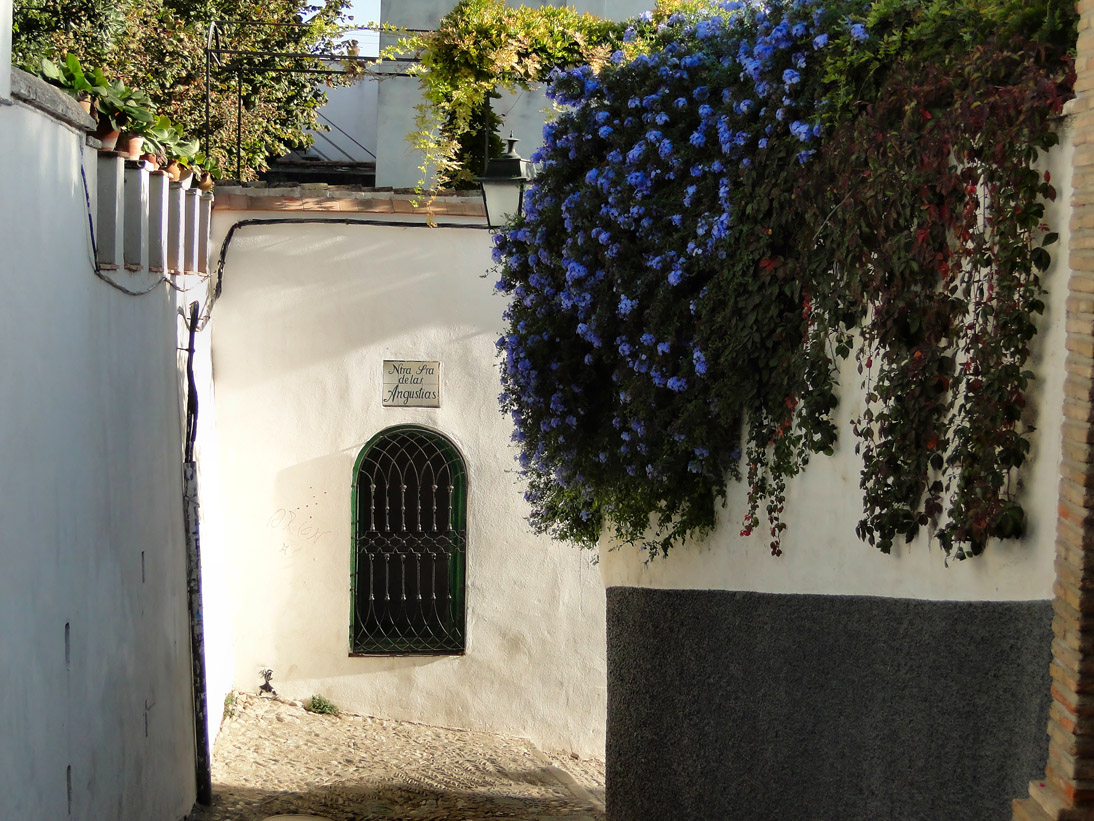 1198_Andalusien_2017_10_11_175825_DSC08381