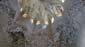 1180_Andalusien_2017_10_11_141459_DSC08320