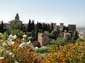 1190_Andalusien_2017_10_11_152924_DSC08346