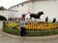 1224_Andalusien_2017_10_14_130352_DSC08444