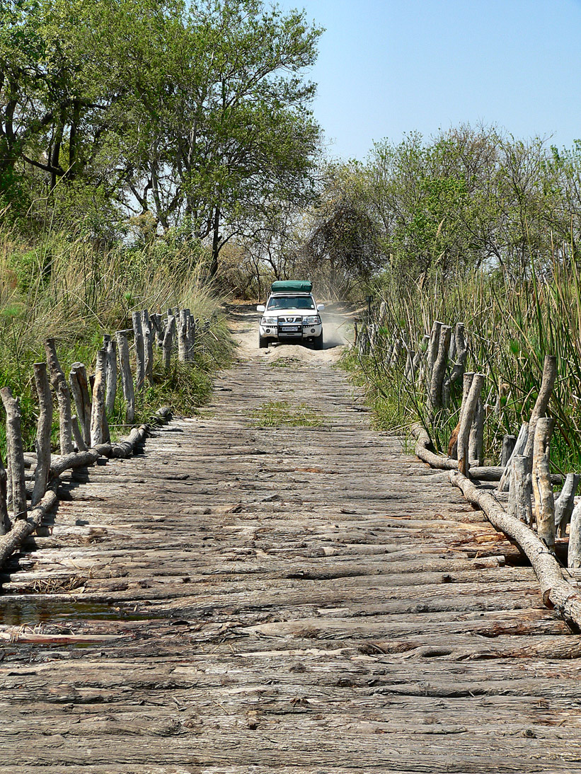1154_Botswana_20071004-102832_P1080778