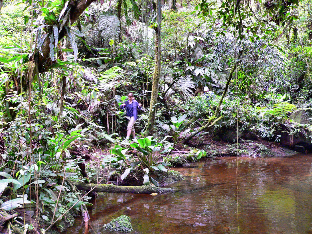 1294_Brasilien_20061121_132344_P1060268