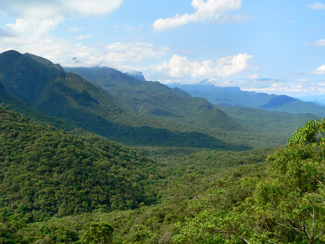 1344_Brasilien_20061122_154930_P1060366