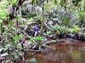 1294_Brasilien_20061121_132344_P1060268