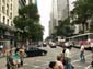 1521_Brasilien_20061127_115838_P1060738