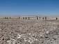 1065_20111107_115830_Chile_Argentinien_DSC04933