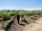 1144_20111110_161006_Chile_Argentinien_DSC05283