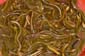 2101_China_2019_05_04_141120_P1020567