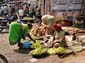 1098_Indien_Sued_2014_11_05_095840_DSC02049