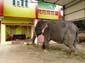 1125_Indien_Sued_2014_11_06_160614_DSC02097