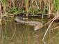 1664_Jamaika_2017_04_29_114408_DSC07523