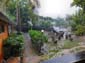 1750_Jamaika_2017_05_01_141206_DSCF9265