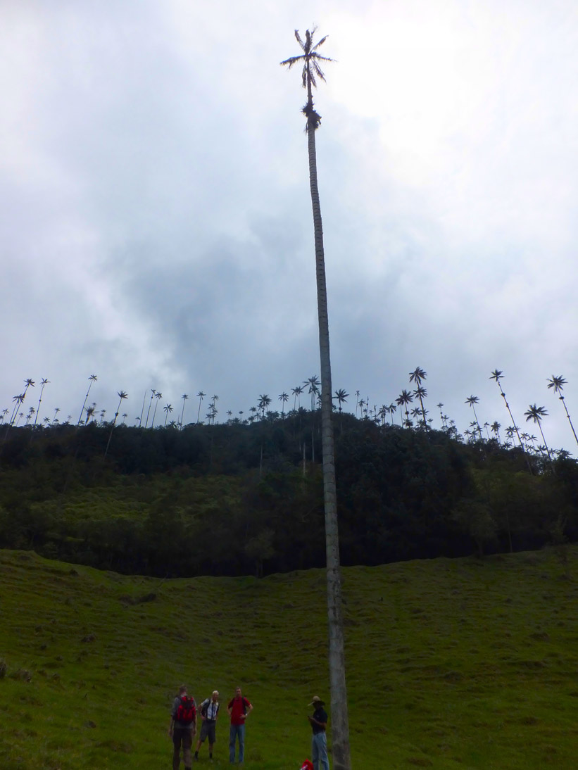 1215_Kolumbien_2016_11_08_113210_DSCF8424