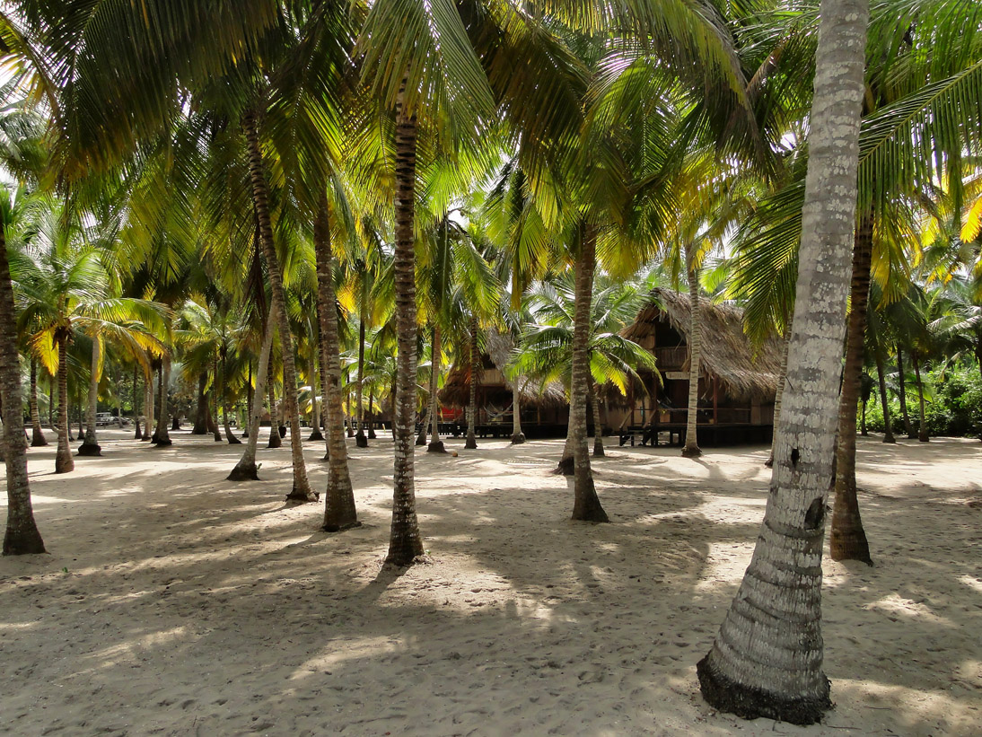 1239_Kolumbien_2016_11_10_133818_DSC06959