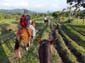 1139_Kolumbien_2016_11_03_163449_DSCF8278