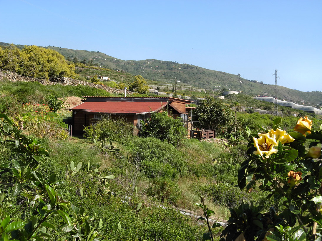 1003_20100327_161308_La_Palma_IMG_3932