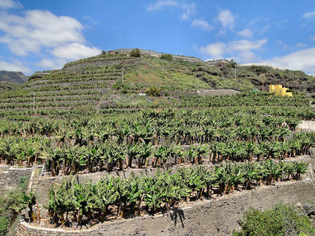 1024_20100325_134128_La_Palma_DSC01748