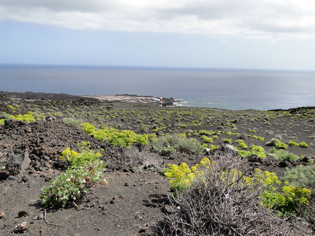 1046_20100326_151558_La_Palma_DSC01782