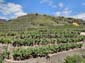 1024_20100325_134128_La_Palma_DSC01748