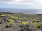 1046_20100326_151558_La_Palma_DSC01782