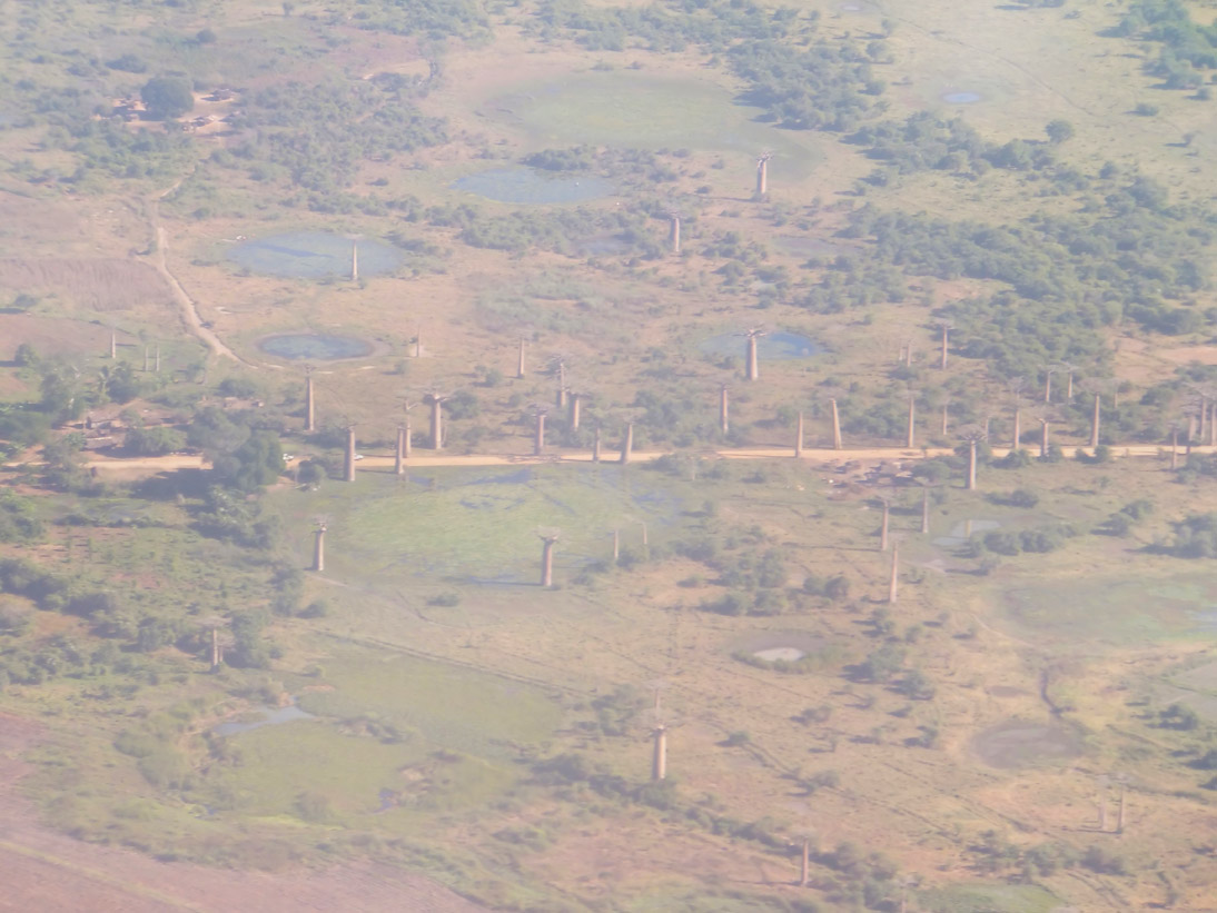 1432_20120515_085954_Madagaskar_DSCF1025