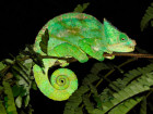 Madagaskar 2012