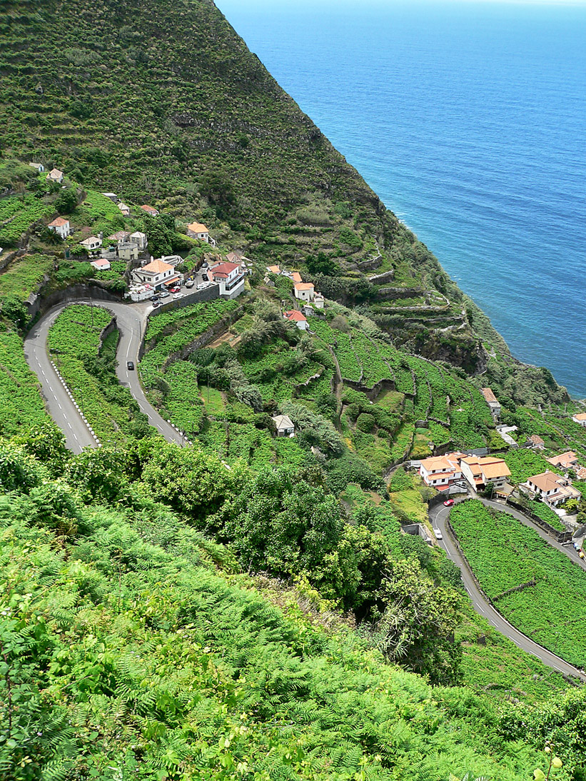 1095_Madeira_2006_P1040694
