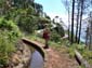 1146_Madeira_2006_P1040789