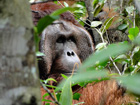 Malaysia 2012