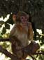 1105_Marokko_2013_11_08_134246_DSC09884