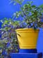 1202_Marokko_2013_11_13_135725_DSC00197