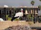 1223_Marokko_2013_11_14_123344_DSC00258