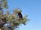 1254_Marokko_2013_11_17_160522_DSC00423