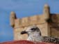 1264_Marokko_2013_11_18_131011_DSC00438