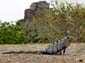 1076_Mexiko_2013_05_02_093912_DSC08958